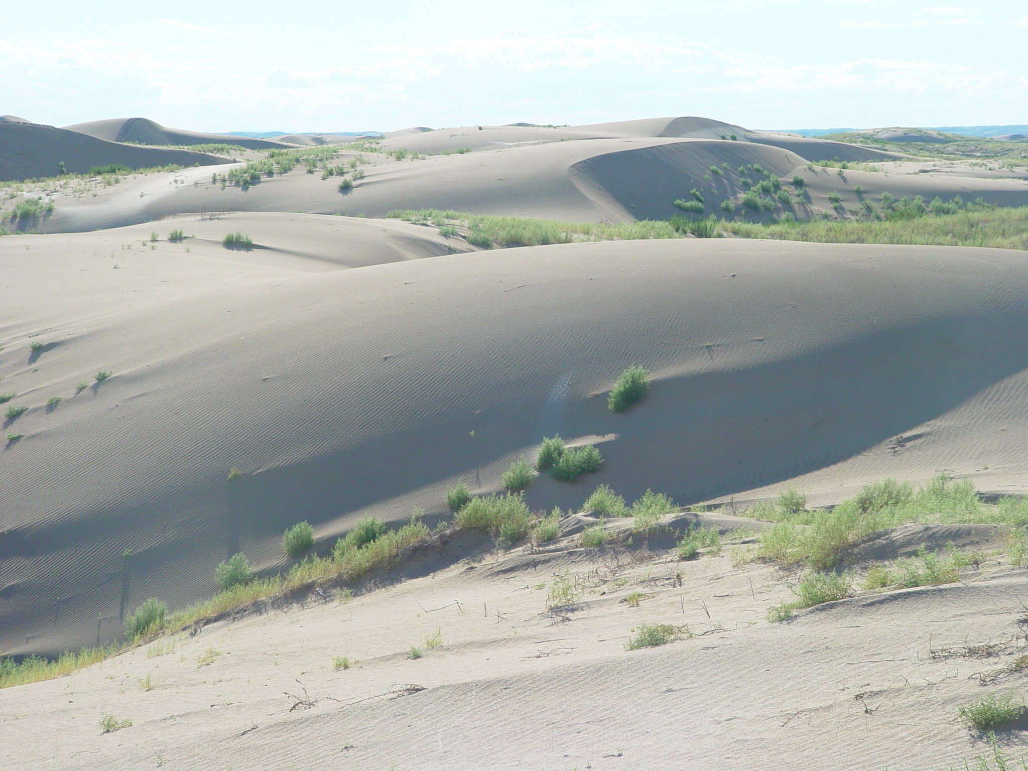 科尔沁典型流动沙丘.JPG